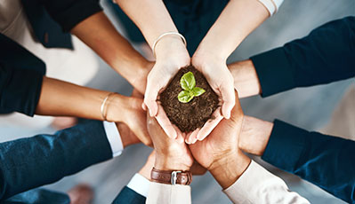 不朽情缘(MG)官网登录入口