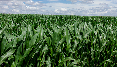 不朽情缘(MG)官网登录入口