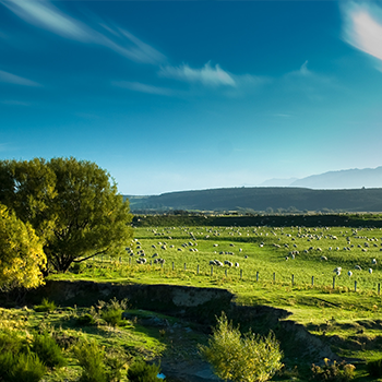 不朽情缘(MG)官网登录入口