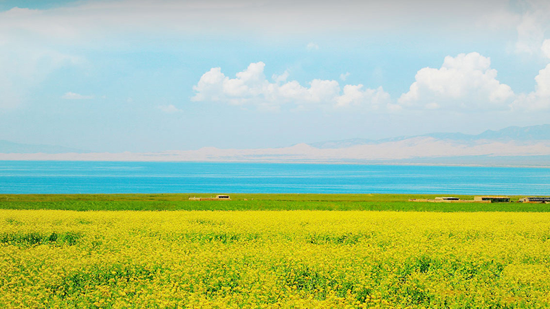 不朽情缘(MG)官网登录入口