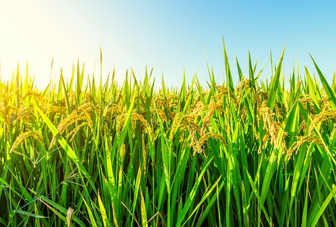 不朽情缘(MG)官网登录入口