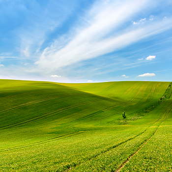 不朽情缘(MG)官网登录入口