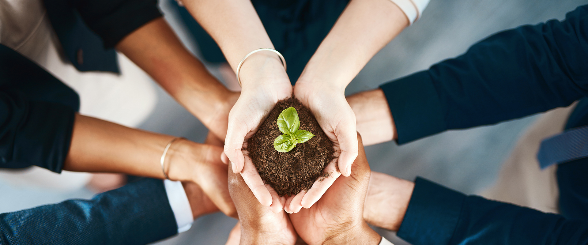 不朽情缘(MG)官网登录入口