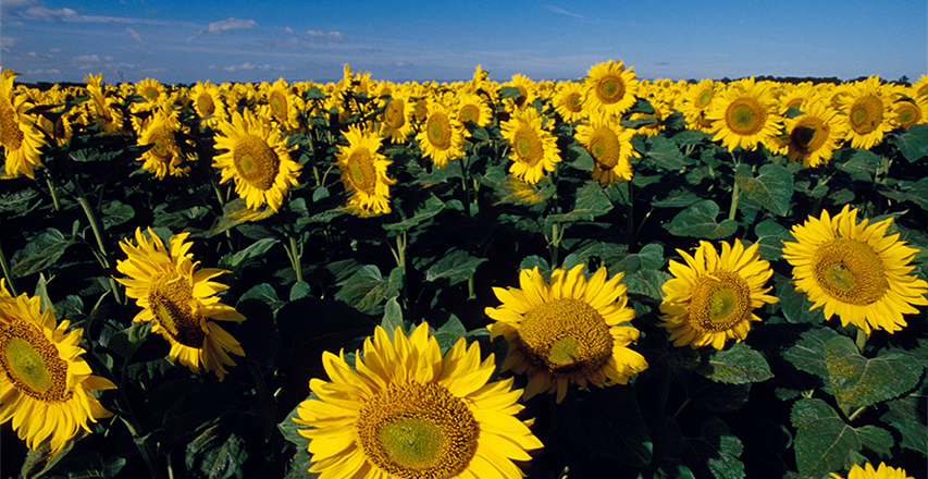 不朽情缘(MG)官网登录入口